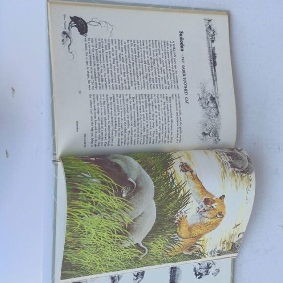 Vintage Funk and Wagnalls World of Dinosaurs and Other Prehistoric Animals - Picture 8 of 8